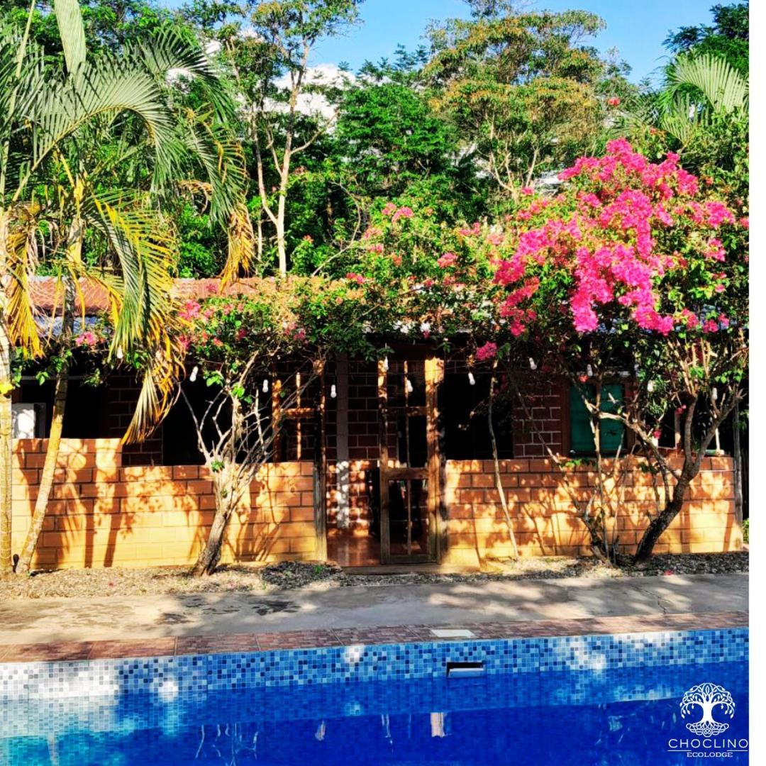 Choclino Ecolodge -Bungalows Tarapoto Extérieur photo