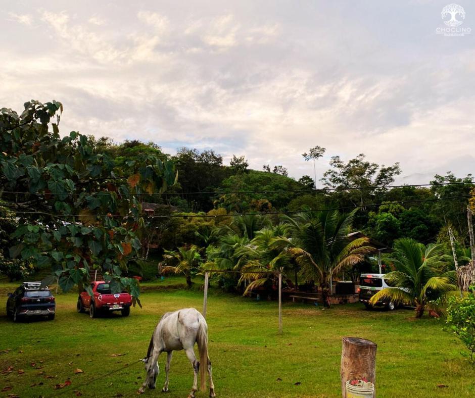 Choclino Ecolodge -Bungalows Tarapoto Extérieur photo