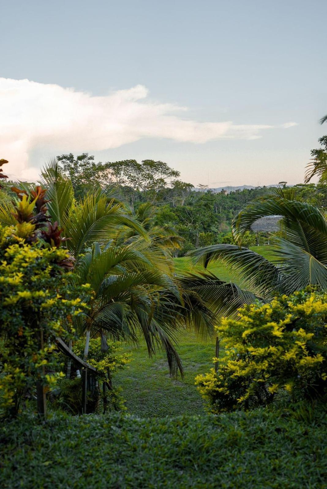Choclino Ecolodge -Bungalows Tarapoto Extérieur photo