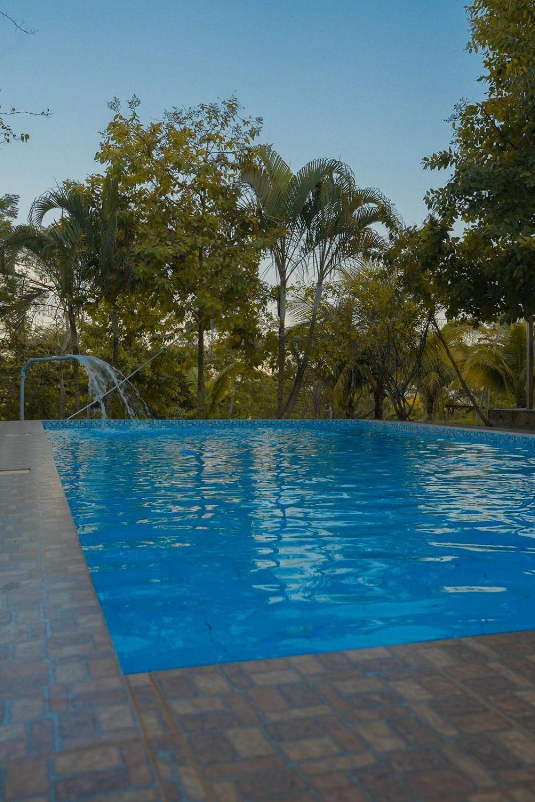 Choclino Ecolodge -Bungalows Tarapoto Extérieur photo